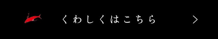 詳しく見る