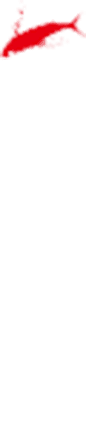 メニュー
